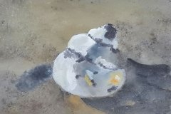 Fund am Cockle Beach